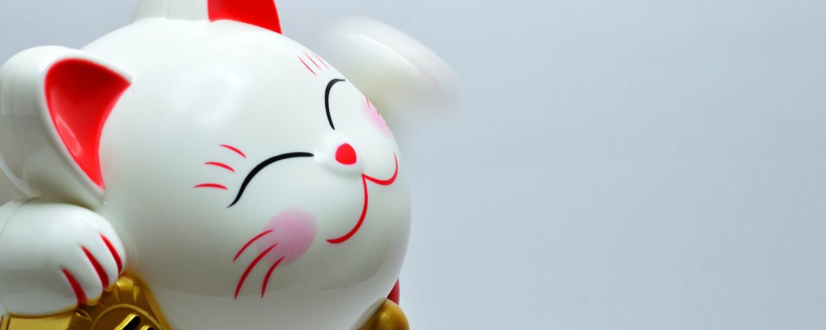 japanese lucky coin cat